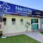 Imagem ilustrativa da empresa Neovita Clínica Veterinária em Curitiba - PR