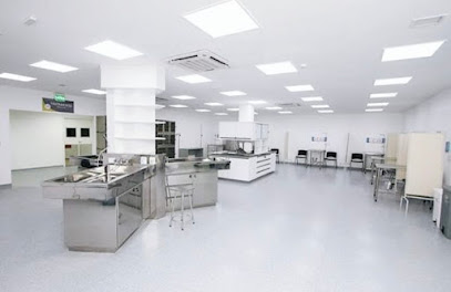 Nexum Vet - Veterinário em Porto Alegre - RS