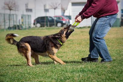 NOVA ERA CÃES DE GUARDA LTDA em Diadema - SP
