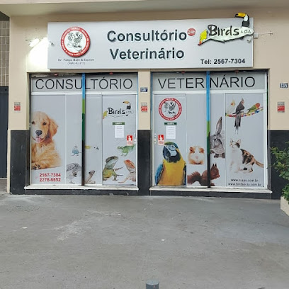 Imagem ilustrativa da empresa Nucleo de Internação para Aves e Animais Silvestres - NIAAS - Veterinário em Rio de Janeiro - RJ