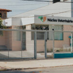 Imagem ilustrativa da empresa Núcleo Veterinário em Belo Horizonte - MG