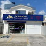 Imagem ilustrativa da empresa Os Bichinhos Clínica Veterinária e Pet Shop em João Pessoa - PB