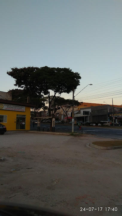 Imagem ilustrativa da empresa Patas de Ouro - Veterinário em Sorocaba - SP