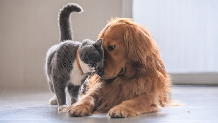 Pedigree Clínica Veterinária em Porto Alegre - RS