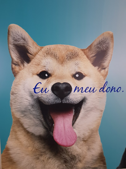 Imagem ilustrativa da empresa Pet Care Hospital Veterinário - Unidade Morumbi em São Paulo - SP