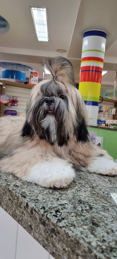 Pet Family | Hospital Veterinário 24 horas em São Luís - MA