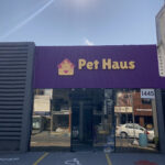Imagem ilustrativa da empresa Pet Haus - Centro Médico e Bem-Estar Animal - Veterinário em João Pessoa - PB