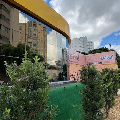 PetShelby - Hotel Pet, Clínica Veterinária, PetShop - Unidade Setor Pedro em Goiânia - GO