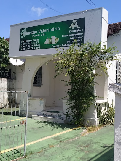 Imagem ilustrativa da empresa Plantão Veterinário em Recife - PE
