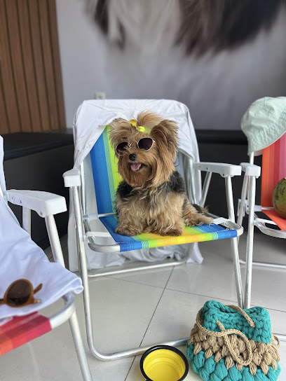 Praiavet Clínica Veterinária em João Pessoa - PB