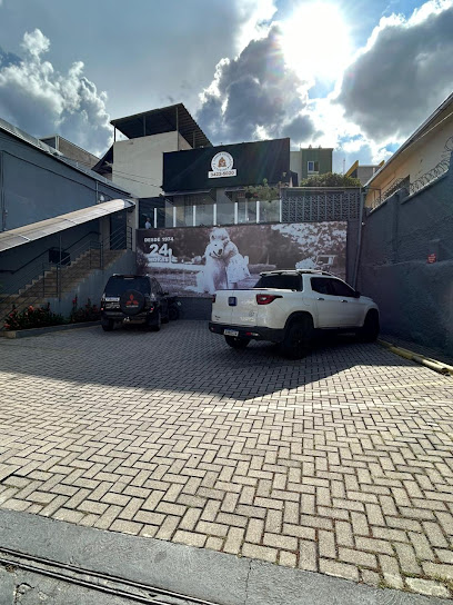 Pronto Socorro Veterinário 24 Horas em Belo Horizonte - MG