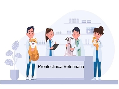 Prontoclínica Veterinária em São Luís - MA