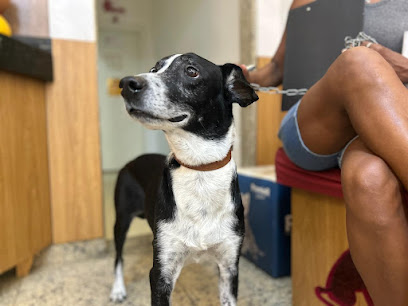 Imagem ilustrativa da empresa Rio Vet Clínica Veterinária e Pet Shop em São João de Meriti - RJ