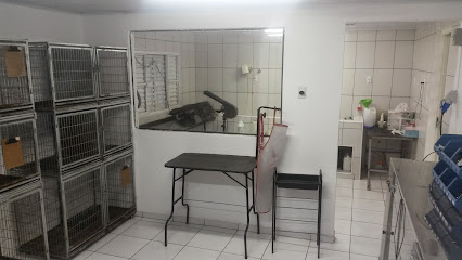 Imagem ilustrativa da empresa S.AU.S Clínica Veterinária em Curitiba - PR