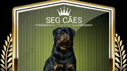Imagem ilustrativa da empresa Seg cães - Locação de cães de guarda e vigilância em Recife - PE