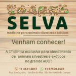 Imagem ilustrativa da empresa SELVA VETERINÁRIA - MEDICINA PARA ANIMAIS SILVESTRES E EXÓTICOS em São Bernardo do Campo - SP