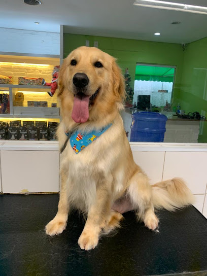Imagem ilustrativa da empresa Serenita Vet - Veterinário em Osasco - SP