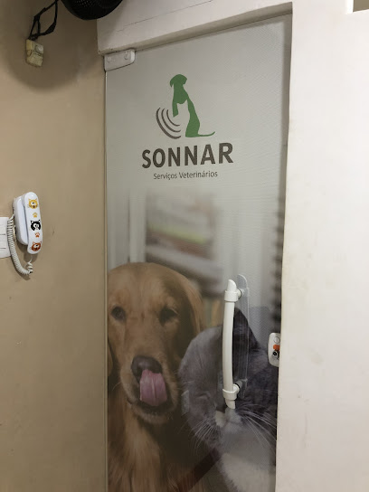 Imagem ilustrativa da empresa sonnar vet - Clínica de ultrassonografia veterinária em Salvador - BA