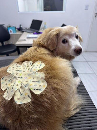 Imagem ilustrativa da empresa Unic Centro Veterinário em Sorocaba - SP