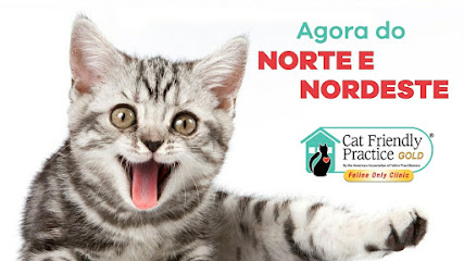 Imagem ilustrativa da empresa Unidade de Saúde Felina - Somente GATOS! - Veterinário em Manaus - AM