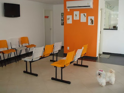 Imagem ilustrativa da empresa VEROBICHO Diagnósticos Veterinários em Goiânia - GO