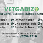 Imagem ilustrativa da empresa Vet Gabizo - Veterinário em Rio de Janeiro - RJ