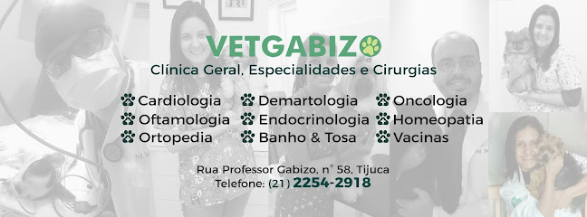 Vet Gabizo - Veterinário em Rio de Janeiro - RJ