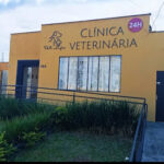 Imagem ilustrativa da empresa Vet life clínica veterinária 24 horas em Curitiba - PR