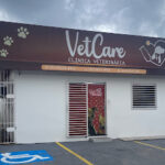 Imagem ilustrativa da empresa VetCare Clínica Veterinária em Manaus - AM