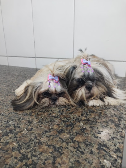 Veterinária Chaves em São Luís - MA
