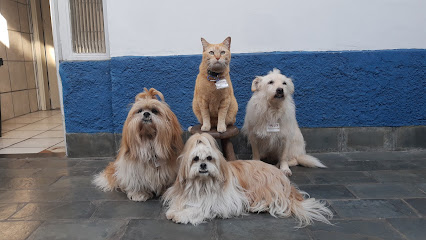 Veterinária Cumbica em Guarulhos - SP