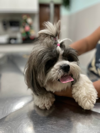 Imagem ilustrativa da empresa Veterinária PorPets em Nova Iguaçu - RJ