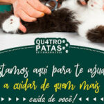 Imagem ilustrativa da empresa Veterinária Quatro Patas Éden em São João de Meriti - RJ