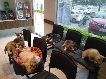 Veterinária Santos em São Luís - MA