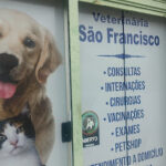 Imagem ilustrativa da empresa Veterinária São Francisco em São Luís - MA