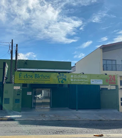 Imagem ilustrativa da empresa Veterinário 24 Horas Campinas Clínica É dos Bichos em Campinas - SP