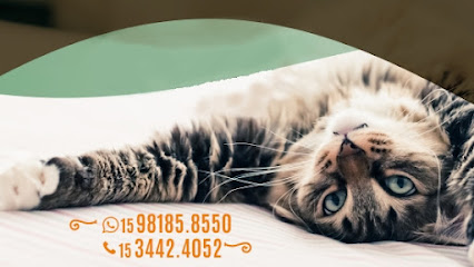 Imagem ilustrativa da empresa VETIVER Clínica Veterinária em Sorocaba - SP