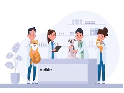 Imagem ilustrativa da empresa Vetlife - Veterinário em Uberlândia - MG