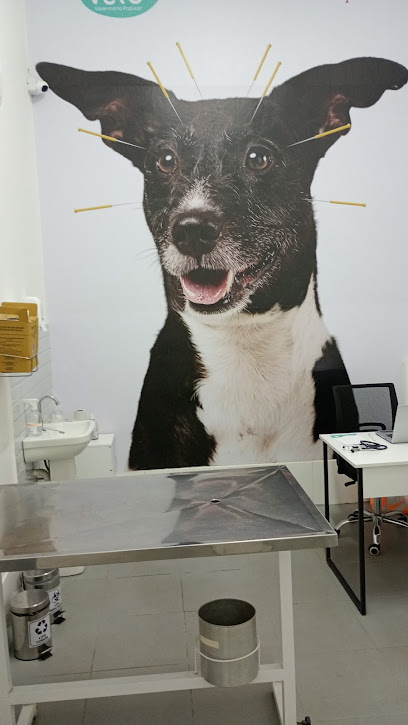 Imagem ilustrativa da empresa Vetso Veterinária em Sorocaba - SP