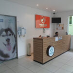 Imagem ilustrativa da empresa Vetvogas Hospital Veterinário em Belo Horizonte - MG