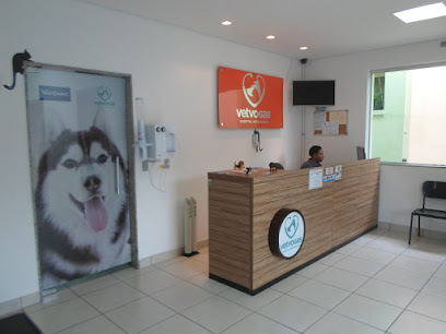 Imagem ilustrativa da empresa Vetvogas Hospital Veterinário em Belo Horizonte - MG