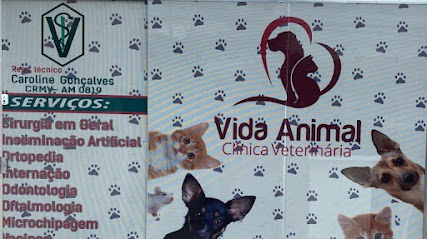 Imagem ilustrativa da empresa Vida Animal Clínica Veterinária em Manaus - AM