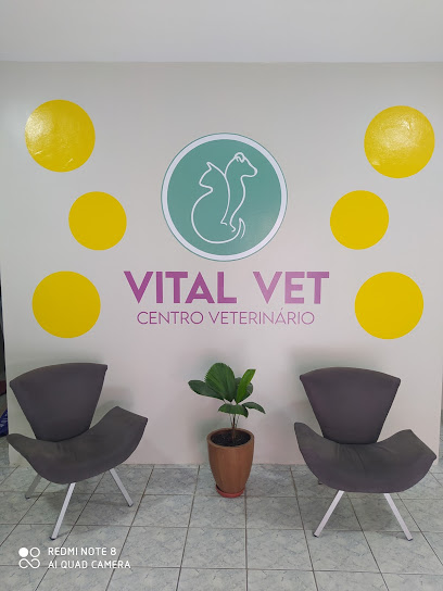 Imagem ilustrativa da empresa Vital Vet Centro Veterinário - Pet Shop Montese em Fortaleza - CE