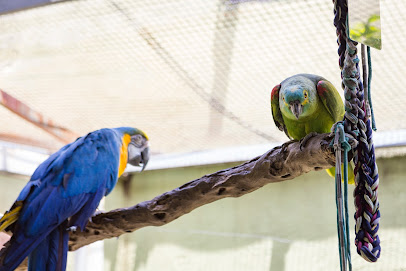 Wildvet Clínica Veterinária em São Paulo - SP
