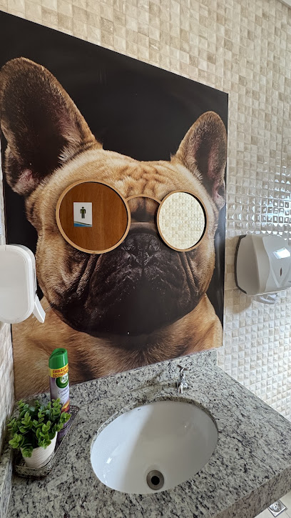 Imagem ilustrativa da empresa Yang Vet acupuntura veterinária em Campo Grande - MS