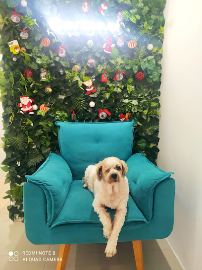 Imagem ilustrativa da empresa Yankee Centro Veterinário em Guarulhos - SP