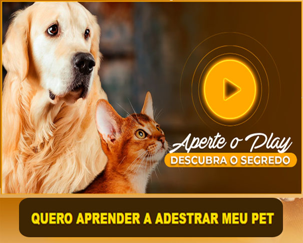 Publicidade
