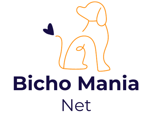 Como Adestrar Cachorro? 10 Dicas Importantes Para Iniciar