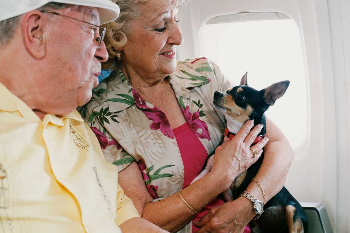 Como Viajar de Avião com Seu Pet