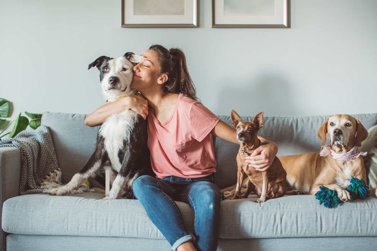 Combater o Mau Cheiro de Cachorro da Casa